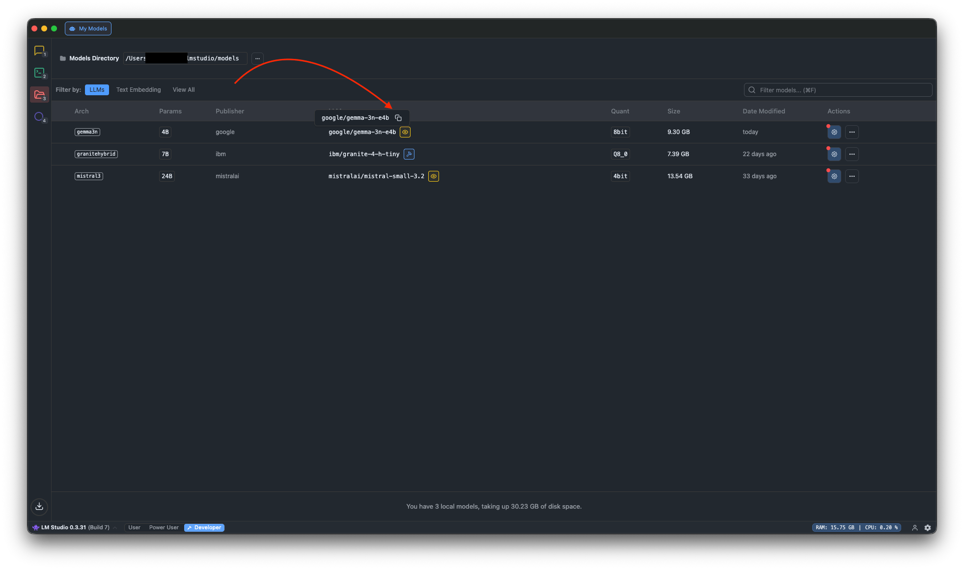 LM Studio: copy the model identifier